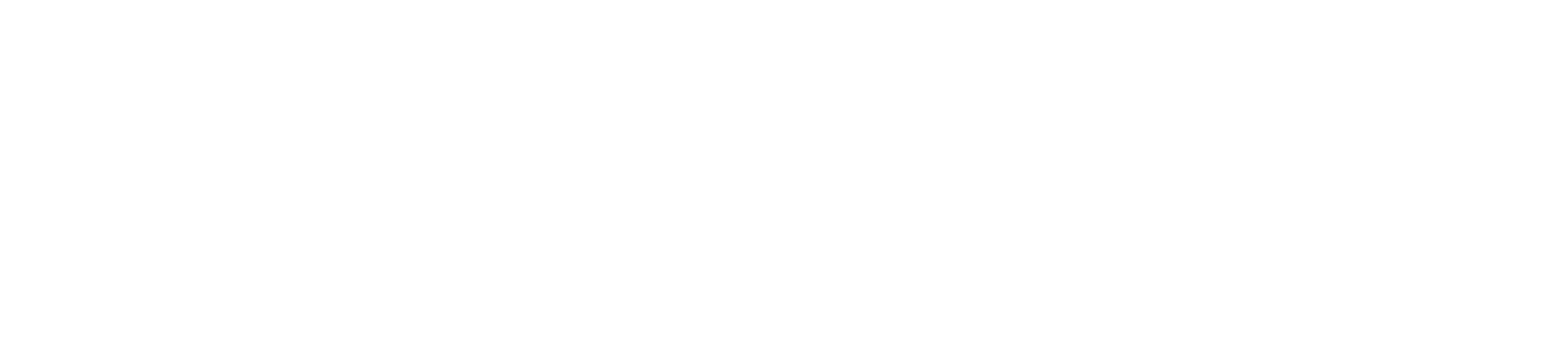 CyberServal logosu